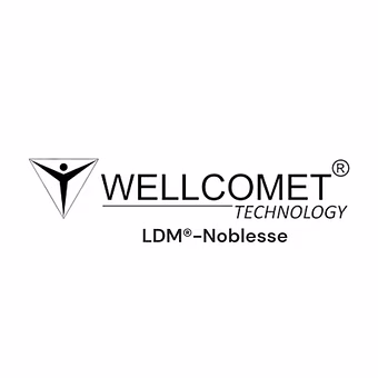 Wellcomet Technology logo